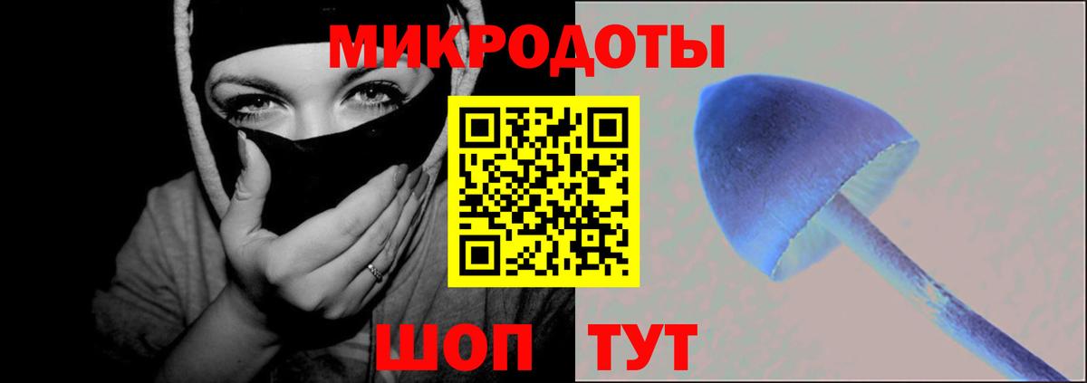 Галлюциногенные грибы MAGIC MUSHROOMS  продажа наркотиков  Дербент  Вход с VPN  Псилоцибиновые грибы Magic Shrooms 